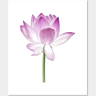 Lotus flower Posters and Art